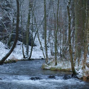marche-022-2000×2666 Ruisseau des Alleines